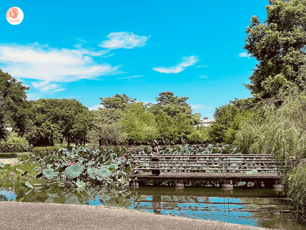 花蓮吉安] 知卡宣森活天空樹兒童遊戲場。荒野冒險島。玻璃金字塔。滑軌沙池。心型鞦韆。親子森林放電場。花蓮特色公園。花蓮親子景點。知卡宣綠森林親水公園-